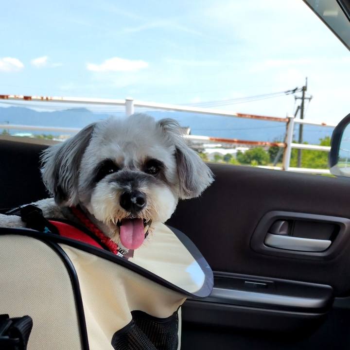 9510beb5 64fd 4707 8ab9 d4ccad82d216 1751902360954