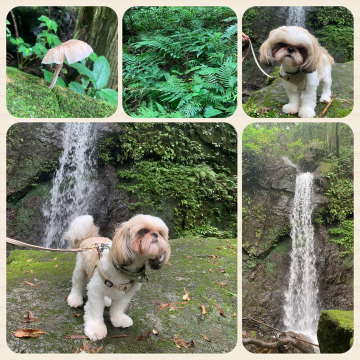 9510f8fc 8a99 4f6c 9160 fac4ade11827 1661658979030