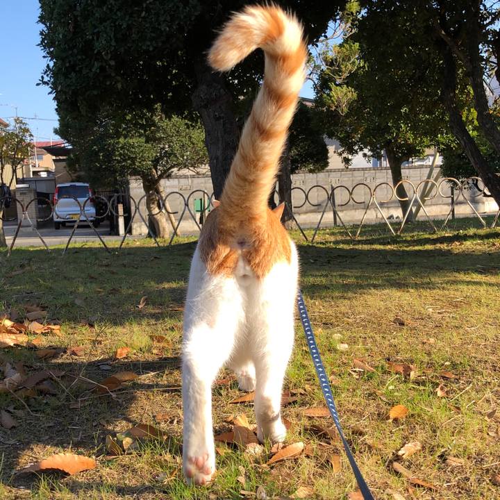 95111ab9 5ad4 4eeb 80f4 26295cd85a0f 1543305724121