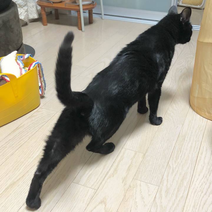 95111d01 a34e 461f b2af b274108679a0 1638713612113