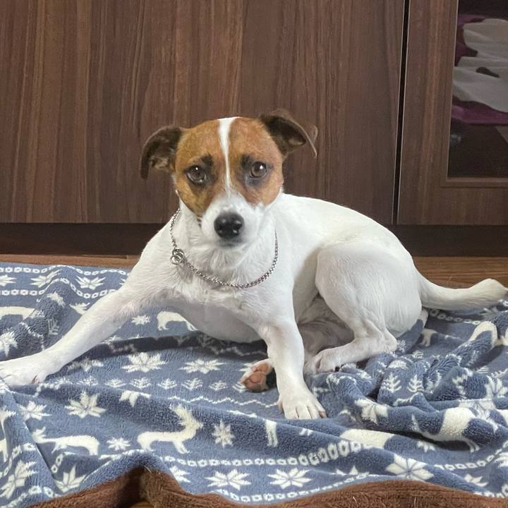 95112bec 446f 455b b1a0 2eef29e4d7cc 1648334671207