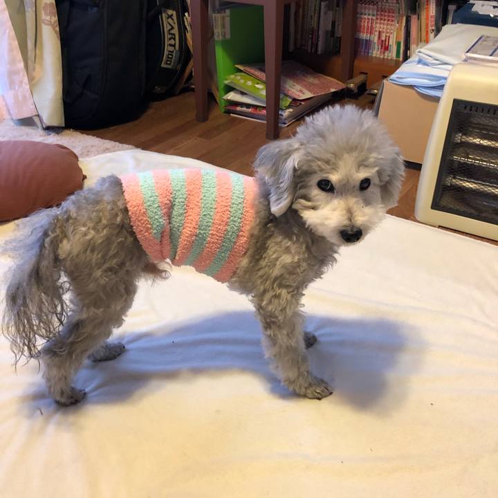 95115bac 194e 4beb b5dc 709e37f65b26 1549323082170