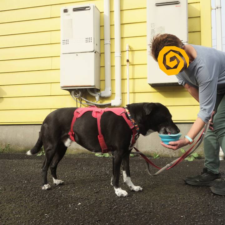 9511685e 3fdf 4fc2 b2f0 b1b9285817dd 1696900048706