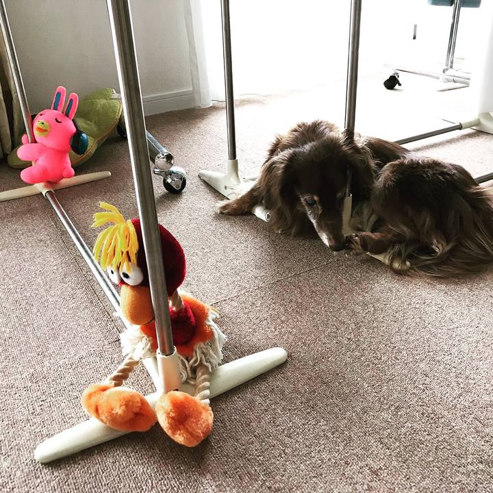 95116f69 97e3 43ae 8171 9e97f94c5343 1602417132565