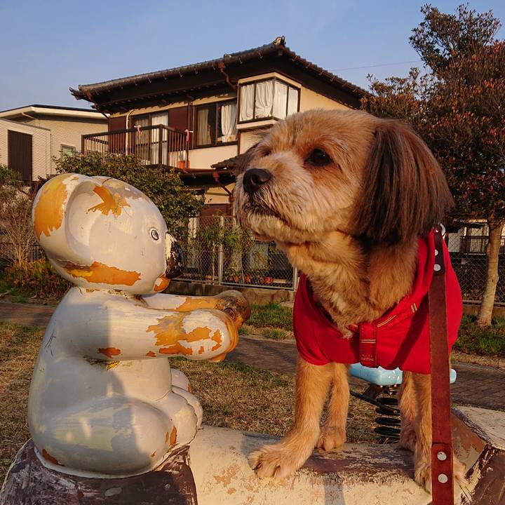 9511e979 2853 4361 8b4a 3ef028ea10ff 1576896456309