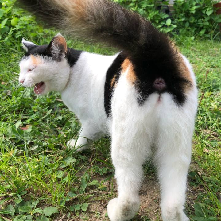 9511ebf6 8730 4c4f a567 f57f93cc6d86 1598394081170