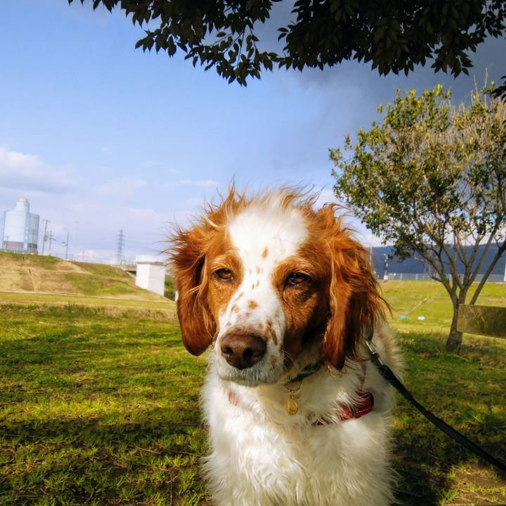 95120c68 9f2a 483d 9c1b e765dccc3d7a 1552807669447