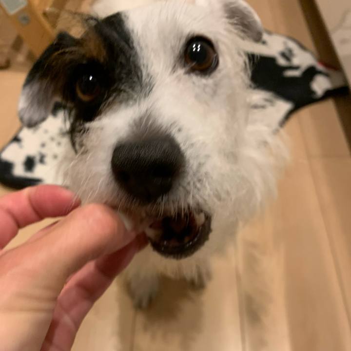 951228fa ead1 49ad 9582 3be9950405a5 1596372886462