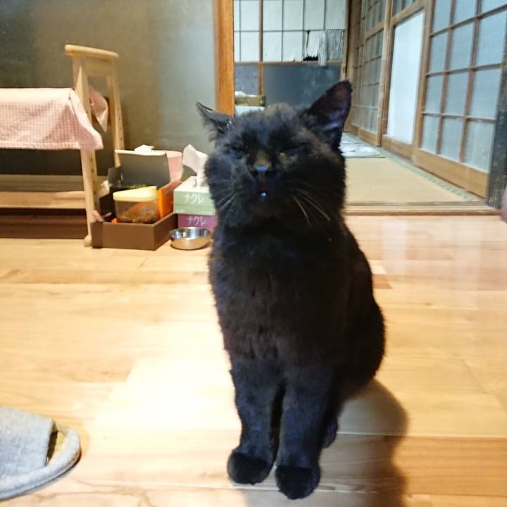 951240c4 ef9f 4310 ae36 8d08d85e0a20 1621861176998