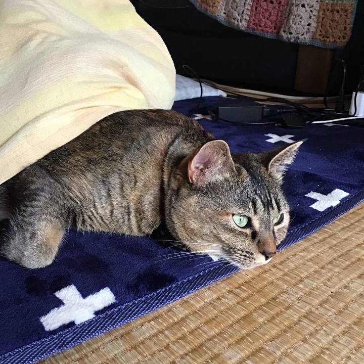 9512671c d07d 4d90 8fb6 9f2391aed580 1706426103751