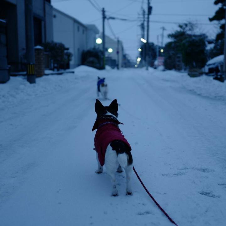 95127209 6ca0 4822 b057 8e0d2861d486 1517459651128