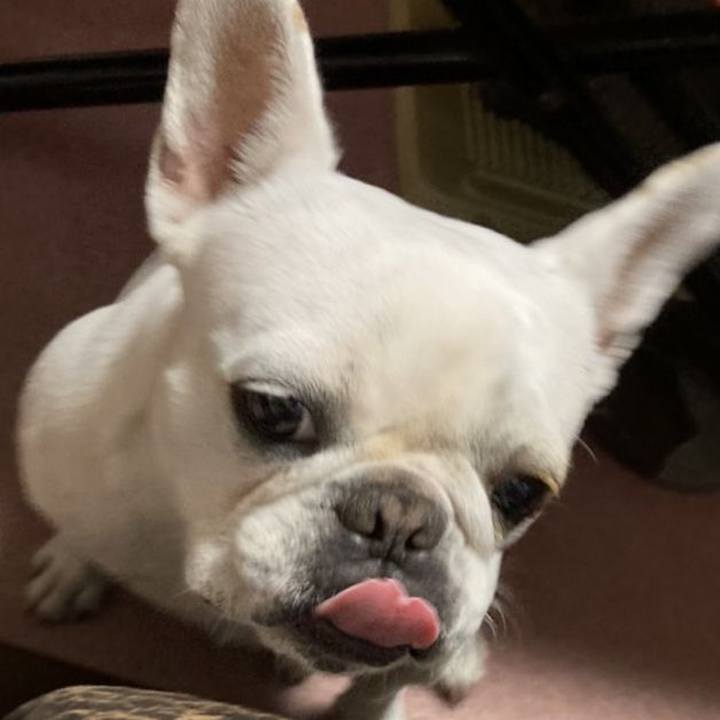 95127e4c 30d0 42e7 a4f8 187a6bb17016 1667038352000