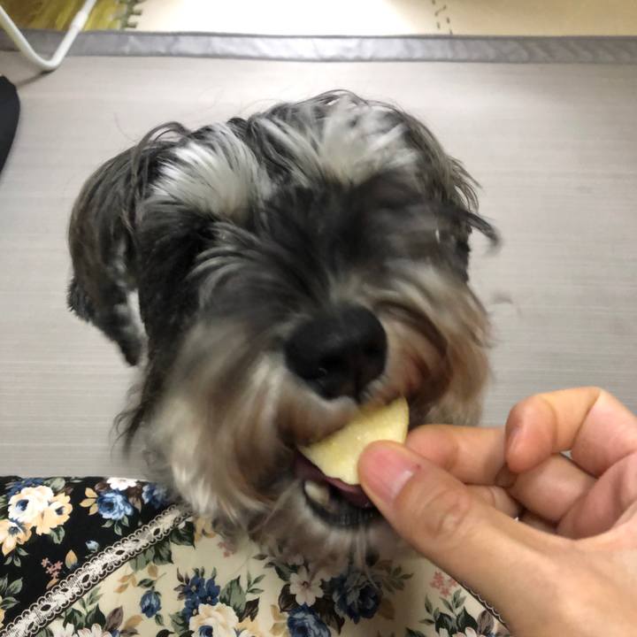 95129048 ff12 43f5 b3a1 d9210a3394fc 1575090445685