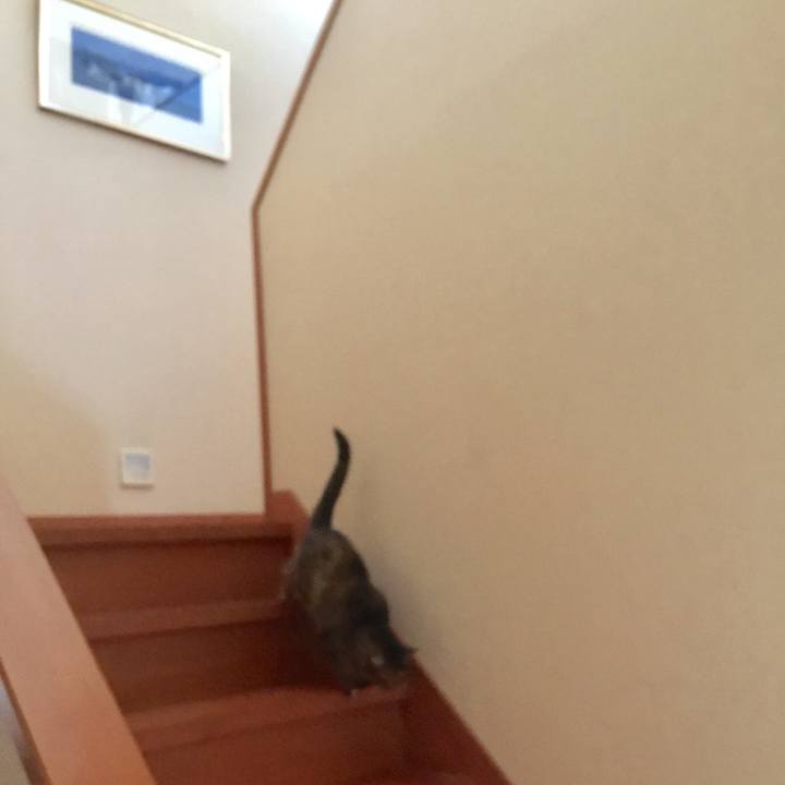 9512a520 29d4 4593 a753 056ff0f021b5 1555399206471