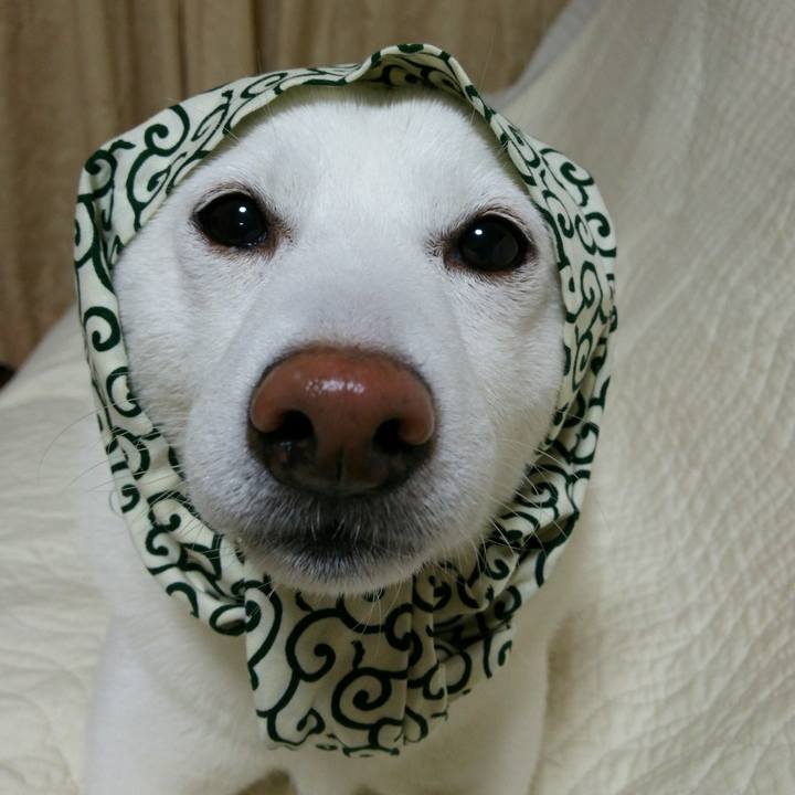 9512ab09 bde4 42ae 817c 192dbbb0e1d1 1560081394211