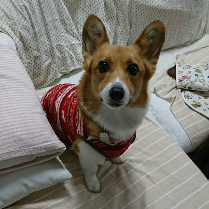 9512aeb0 acf9 4145 9284 569f8edb6da0 1513033702886