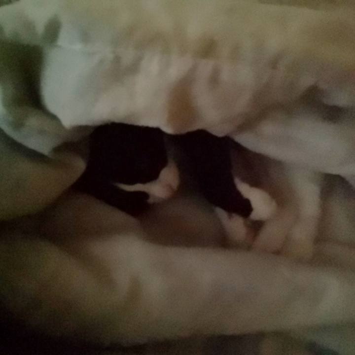 9512ba5c 6ede 4c27 9231 c2684888b0de 1626063044718