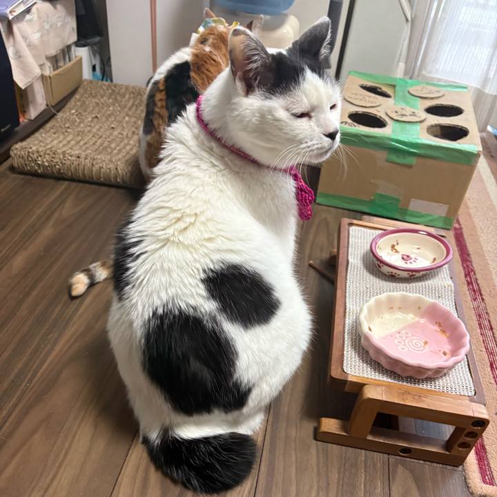 95130b13 d32b 4dae bcb2 d5e81c32ea4e 1771990181936