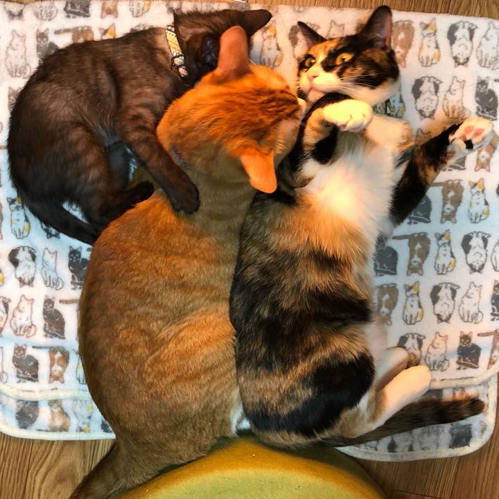 95131904 d306 4a39 b165 062e56424c8b 1608126184080