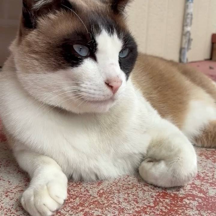 9513795f 4293 487a 87eb 67eec54dd8bd 1745459917286