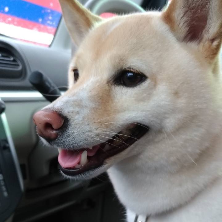 9513a8f9 fdf1 4534 8b7d e31259ec079f 1563019765017