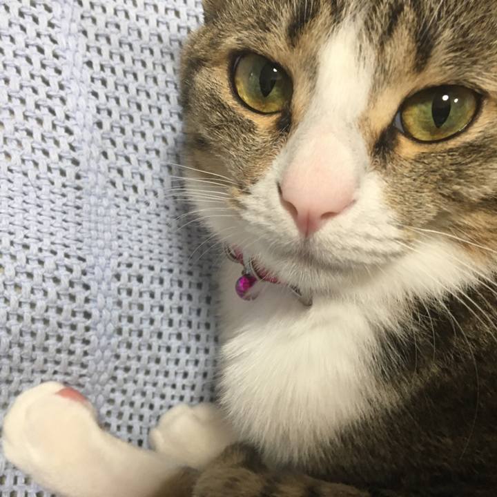 9513da9c ba7a 4348 95ca 0fcf002460fa 1673994914484