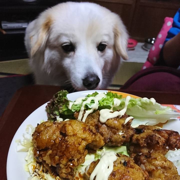 9513f0cb f04d 47cd 8b59 6d0f01883af2 1549534195795