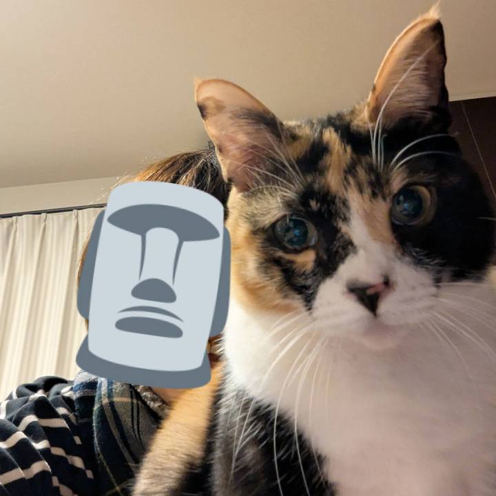 95140eac 50eb 4ac8 a525 b69b21b1c3f1 1737021670010