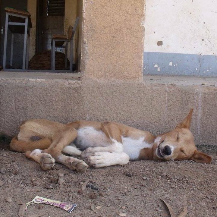 95143466 59f5 4435 8318 6e86c59328fb 1532933870786