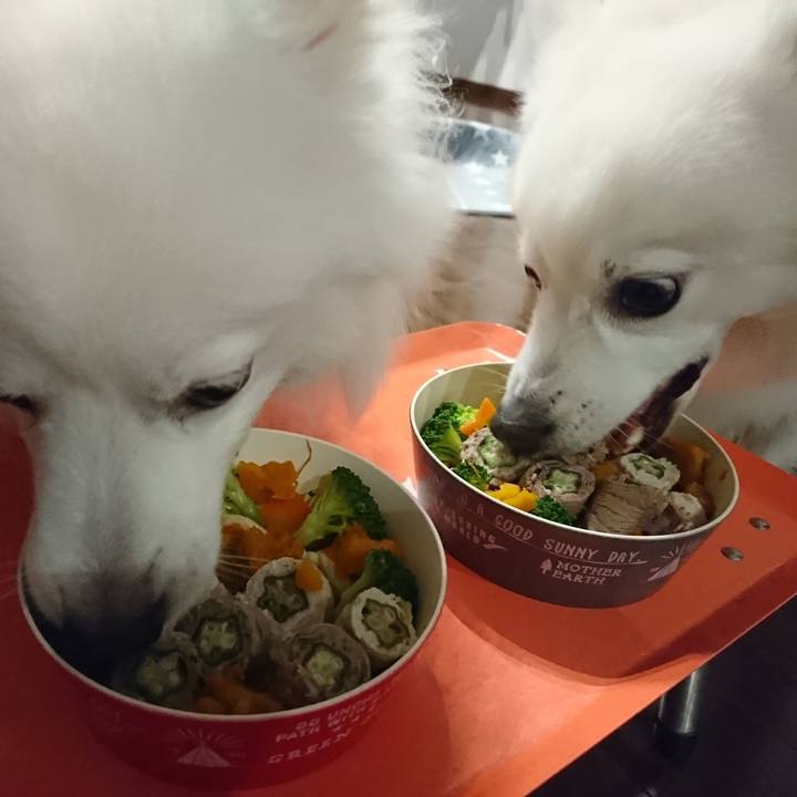 95146a44 d2d8 4312 b416 12896e24270d 1577273654444