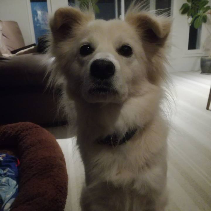 951486b0 7ed8 4ad7 9a63 d217e2d841b8 1514174486114