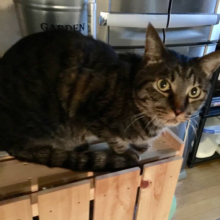 95149b17 2f81 4ab9 87d4 a3a98b4cd2e4 1526248178683