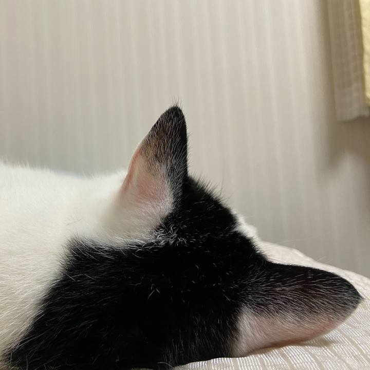 95149d2f 65d3 4ed0 902a 7d9b85c34542 1595244387398