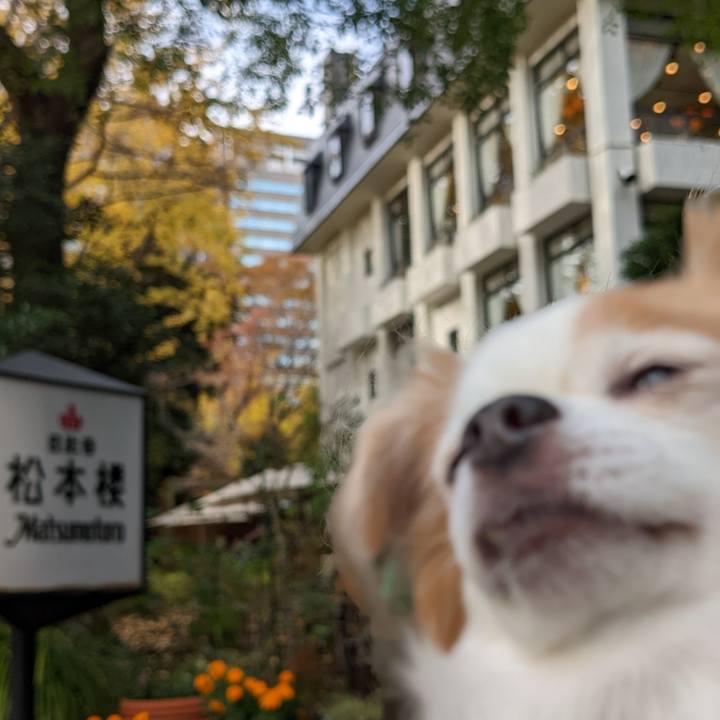 95149eeb 8d5f 4df1 b221 61398a75caeb 1669097476614