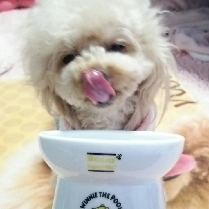 9514a9af d18b 4968 aec3 e4cf1c976d8e 1539769341715