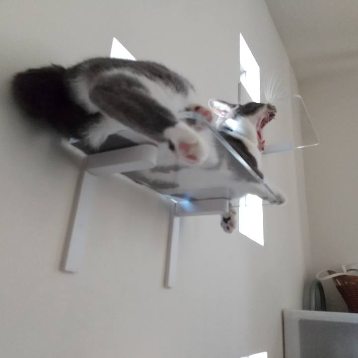 9514d7f1 4f3d 4d04 875f ac165f933e50 1632119099788