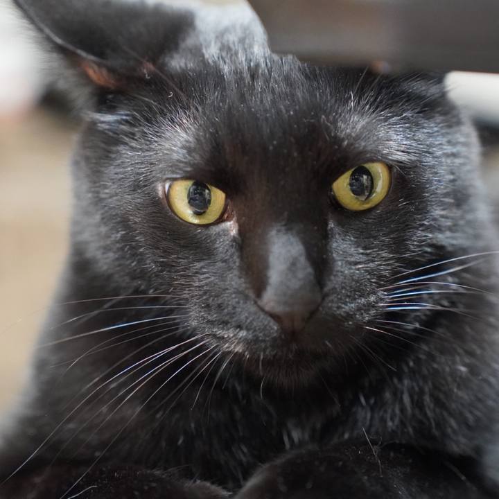 9514e3ba dada 4580 b90d 73d34267e7c9 1719498836183