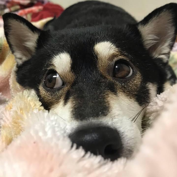 95150d3a ca59 4c7c bcc9 8829ea8f043a 1551188513903