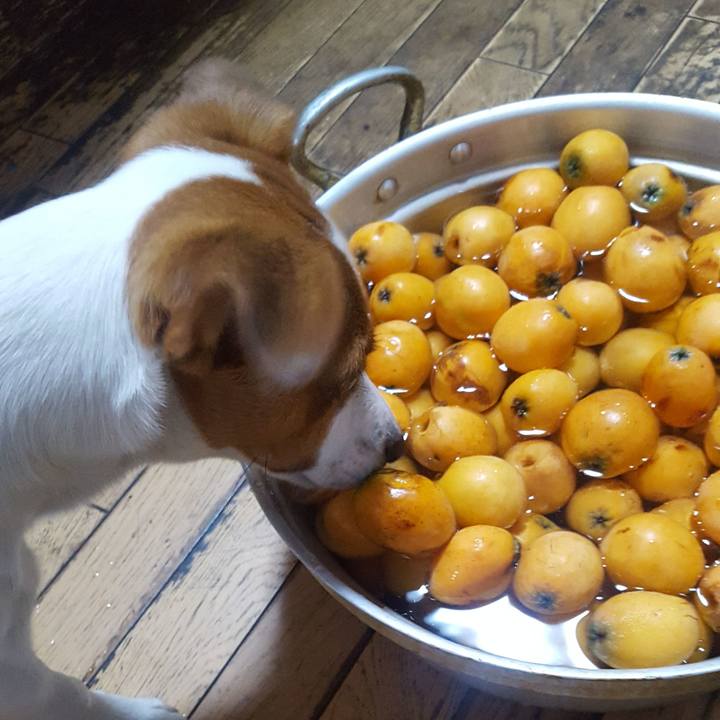 951518d9 1c79 423a 8eb0 14760dee09bd 1559291295942