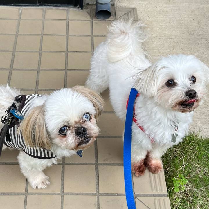 951523bd 8540 47ba a9a1 1eca63680ec1 1653121053799