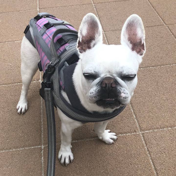 951525a2 d93f 437a b104 e9ab388c02af 1651219364197