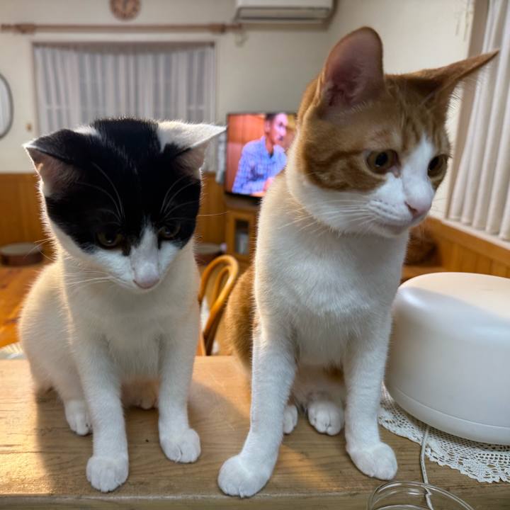 95154ad7 78b6 4bf7 b269 d32e842d506a 1761621689391