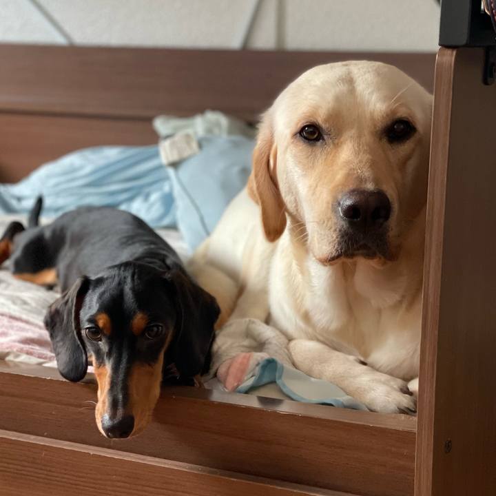 95154ebc dc24 4cfd 8633 fbafeb72524a 1659362256248