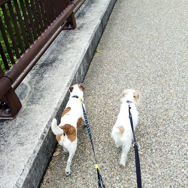 951577e9 4020 4255 9751 0a271a297fec 1560661726995