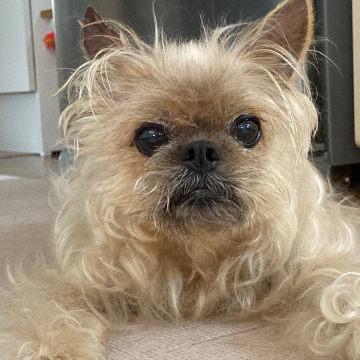 95159807 87aa 45c0 9d2a b4feeadedead 1626152578977