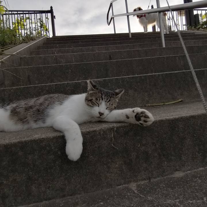 9515b5d8 f307 418f a4ac 0fc0c70420fe 1567424473506