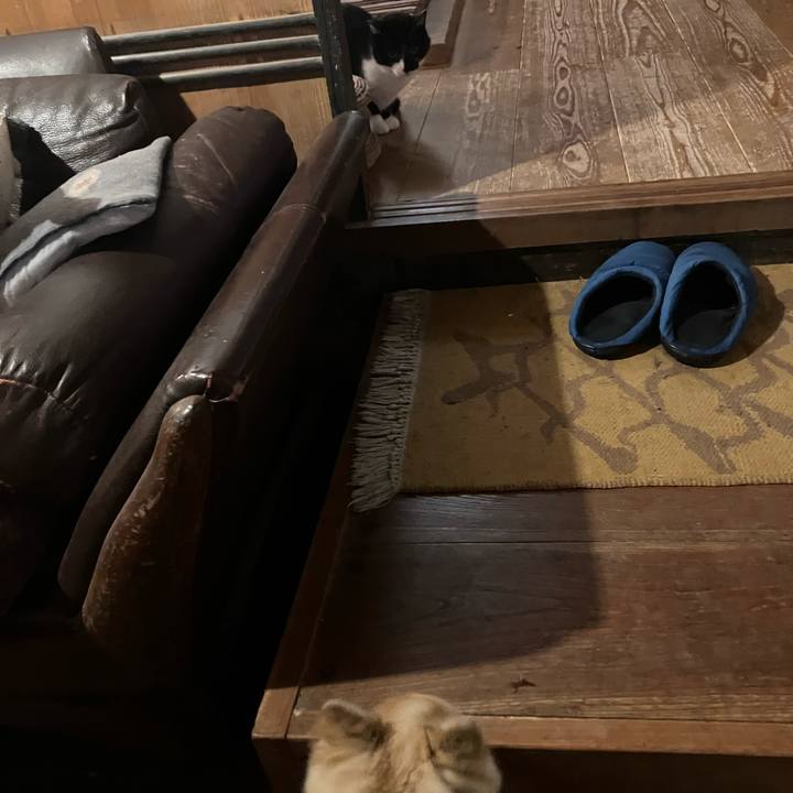 951646eb 8bc6 476d 8b23 d40a5ac2d332 1766957159391