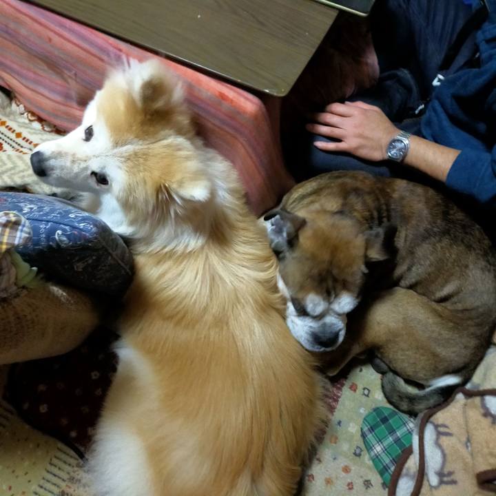 95164801 a0ab 4f3a 87ad cd2c0aa17d62 1638879802688