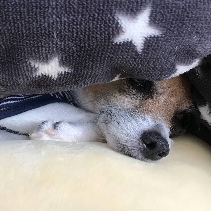 9516e537 3ca2 441c ba99 ff6fc8bf7b0e 1526213199412