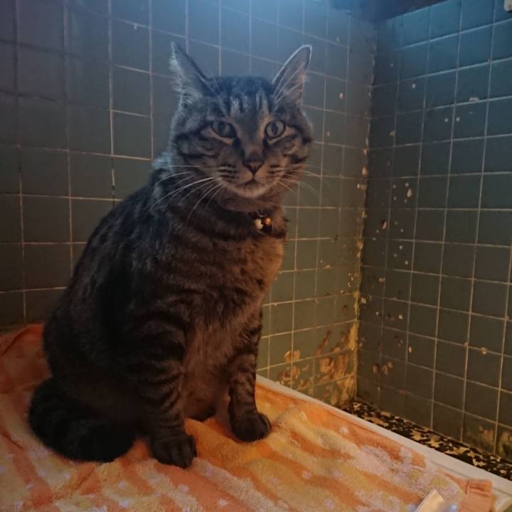 9517065e 584a 4848 8b9d 475c77c647ba 1652695891424